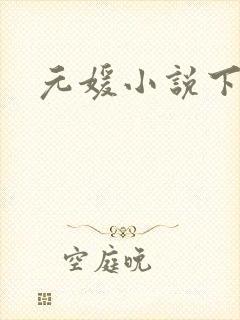 元媛小说下载