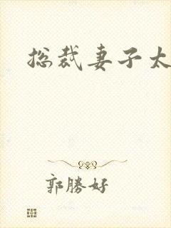 总裁妻子太诱人