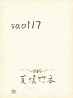 sao117封面