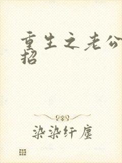 重生之老公请接招