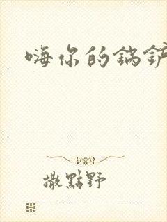 嗨你的锅铲