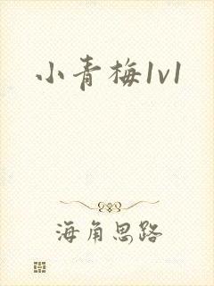 小青梅1v1