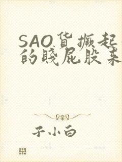 SAO货撅起你的贱屁股来封面
