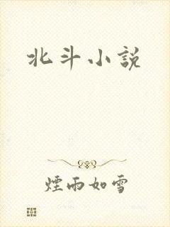 北斗小说
