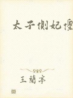 太子侧妃傻乎乎