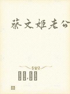 蔡文姬老公