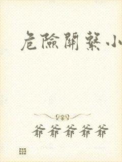 危险关系小说