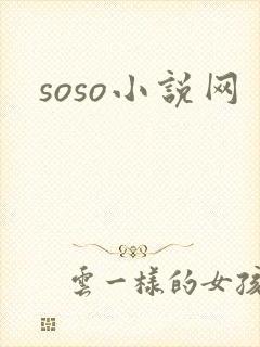 soso小说网