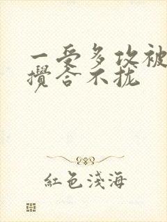 一受多攻被双龙搅合不拢