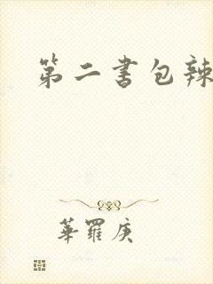第二书包辣文