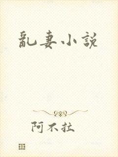 乱妻小说