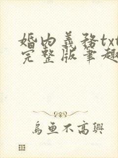 婚内义务txt完整版笔趣阁封面