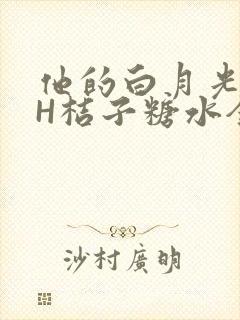 他的白月光HVH桔子糖水全文封面