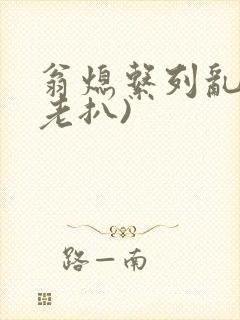 翁熄系列乱 (老扒)