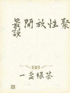最开放性聚会小说
