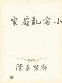 家庭乱仑小说封面