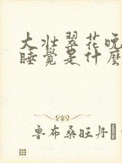 大壮翠花晚上不睡觉是什么电视剧