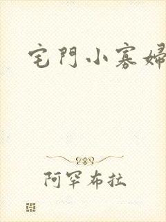 宅门小寡妇