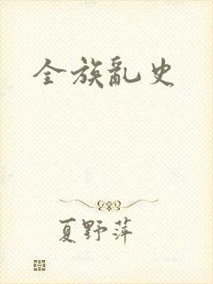 全族乱史封面