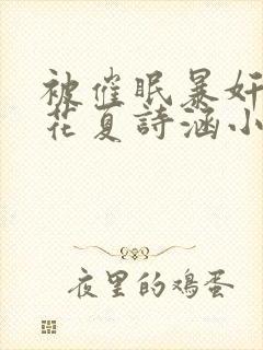 被催眠暴奸的校花夏诗涵小说