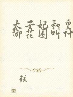 太子妃和皇帝在御花园叫什么小说