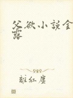 父欲小说金银花露封面