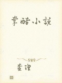 掌酷小说