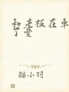 和老板在车里做了爱
