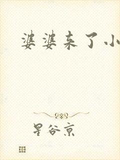 婆婆来了小说