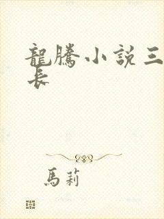 龙腾小说三宝局长