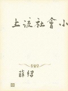 上流社会小说