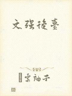 文强后台封面