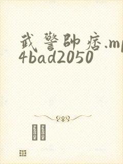 武警帅痞.mp4bad2050