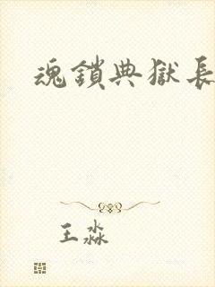 魂锁典狱长封面