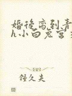 婚后脔到青梅哭h小白兔宫交h