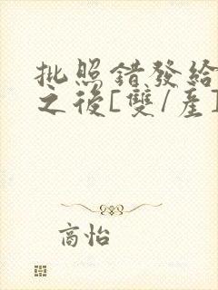 批照错发给情敌之后[双/产]