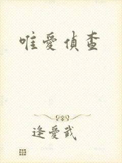 唯爱侦查