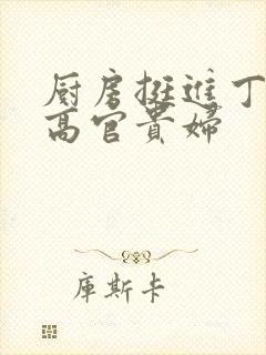 厨房挺进丁字裤高官贵妇封面