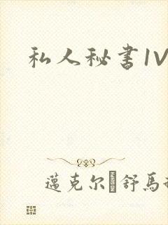 私人秘书1V1