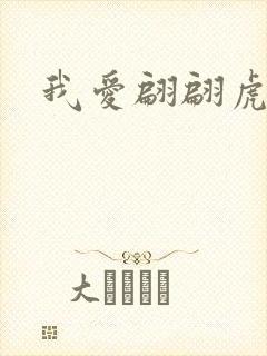 我爱翩翩虎少封面