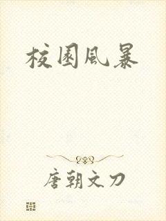 校园风暴