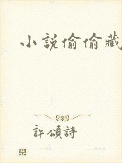 小说偷偷藏不住
