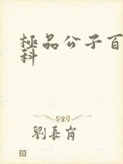 极品公子百度百科封面