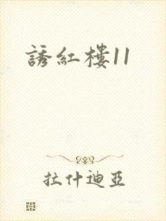 诱红楼11