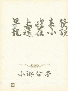 早上醒来发现巨龙还在小说封面