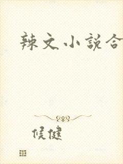 辣文小说合集