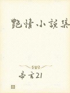 艳情小说集封面