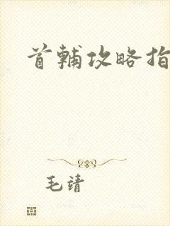 首辅攻略指南