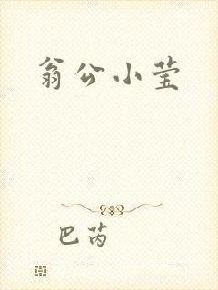 翁公小莹