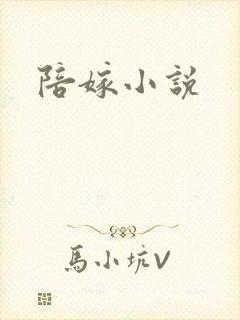 陪嫁小说